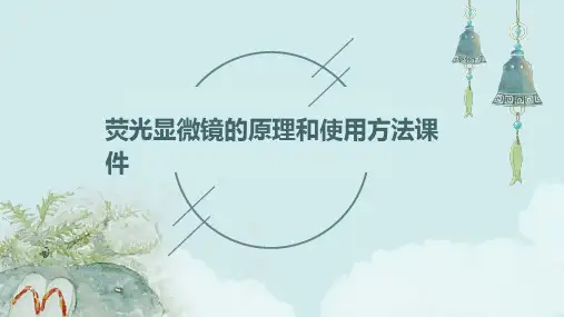 荧光显微镜的原理和使用方法课件