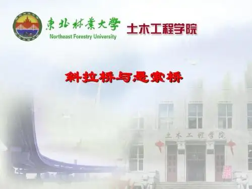 悬索桥斜拉桥sy
