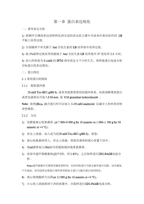 蛋白表达纯化流程