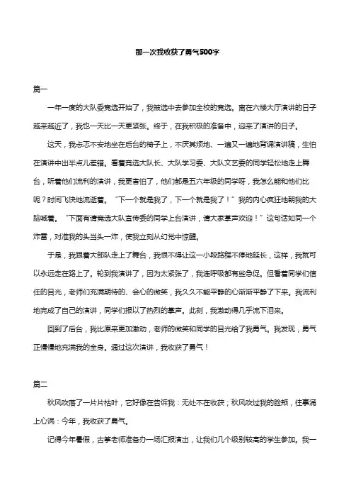 那一次我收获了勇气500字