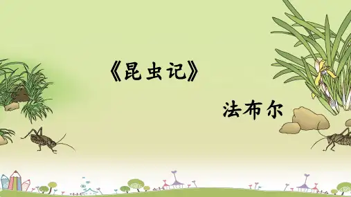 名著导读《昆虫记》课件(共25张PPT)2022-2023学年部编版语文八年级上册
