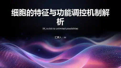 细胞的特征与功能调控机制解析