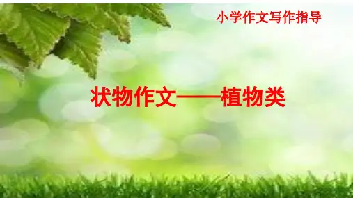 小学状物作文写作指导——植物类作文