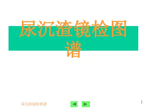 尿沉渣图谱PPT课件