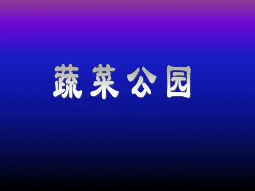 09 蔬菜公园(规划与设计)