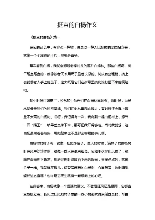 挺直的白杨作文
