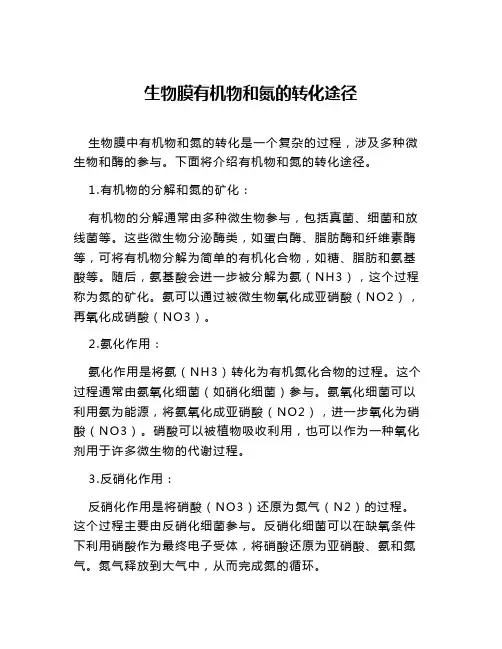 生物膜有机物和氮的转化途径