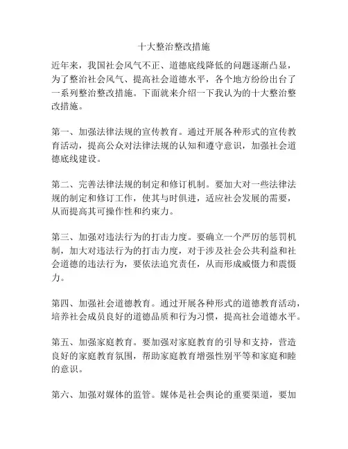 十大整治整改措施
