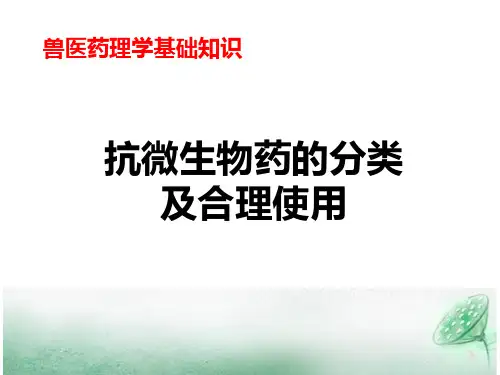 抗微生物药的分类及合理使用