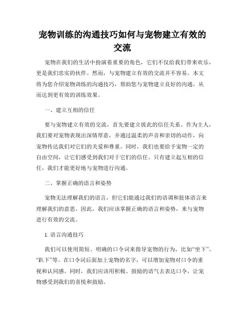 宠物训练的沟通技巧如何与宠物建立有效的交流
