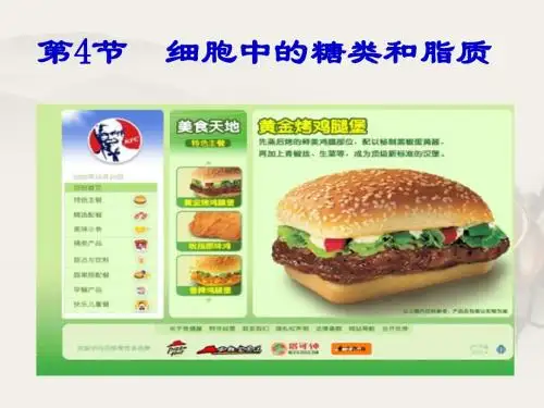 细胞中的糖类和脂质