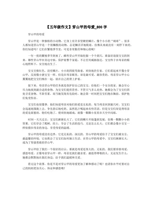 【五年级作文】穿山甲的母爱_800字