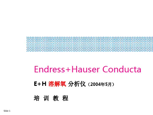 E+H 溶解氧测定仪讲义ppt课件