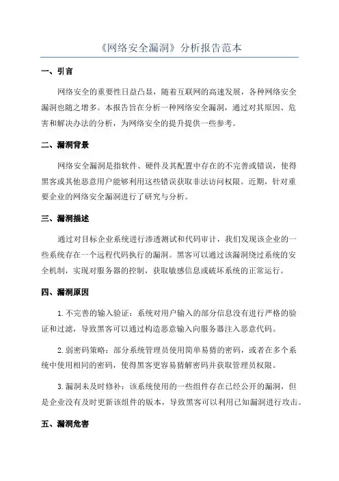 《网络安全漏洞》分析报告范本