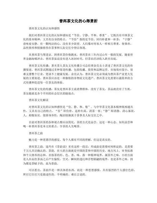 普洱茶文化的心得赏析