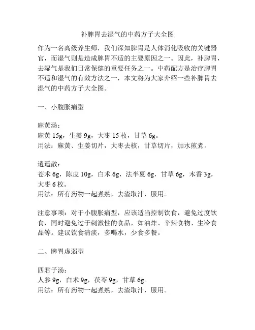 补脾胃去湿气的中药方子大全图