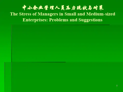 企业管理压力ppt课件