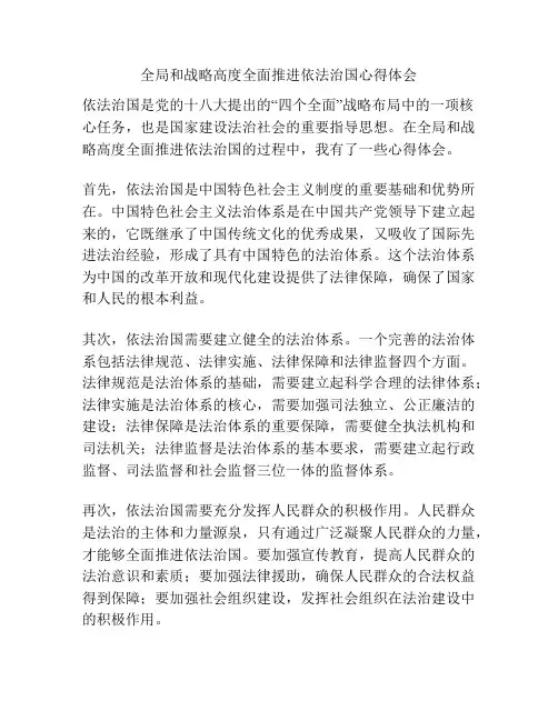 全局和战略高度全面推进依法治国心得体会