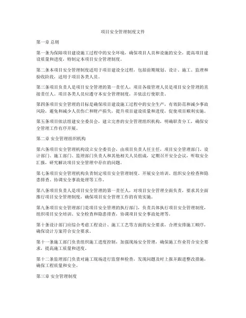 项目安全管理制度文件
