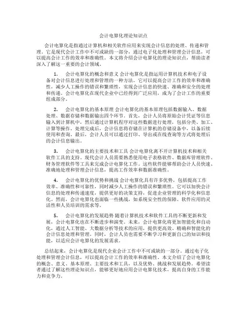 会计电算化理论知识点