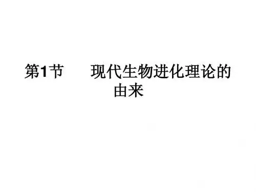 生物：7.1《现代生物进化理论的由来》课件2(新人教版必修2)