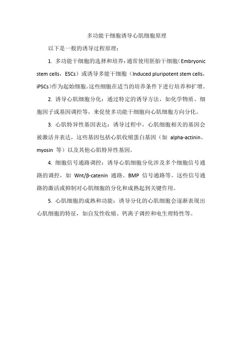 多功能干细胞诱导心肌细胞原理