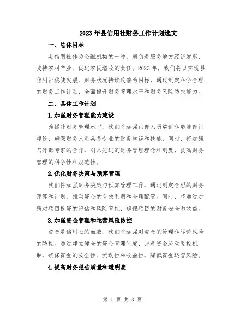 2023年县信用社财务工作计划选文
