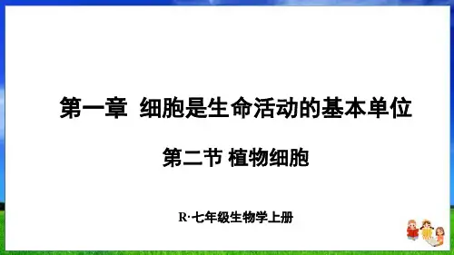 人教版生物七上第一章第二节 植物细胞(30页附练习题)