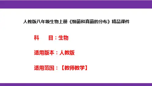 人教版八年级生物上册《细菌和真菌的分布》精品课件