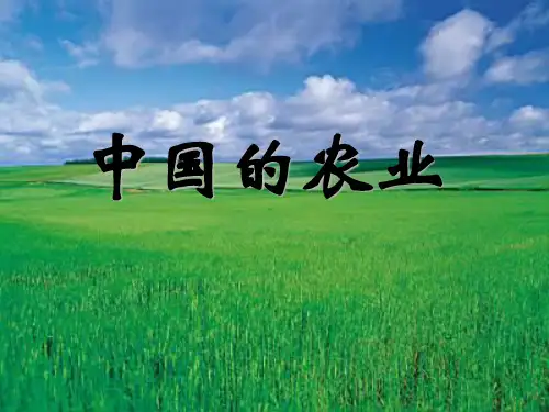 中国的农业完整版PPT课件