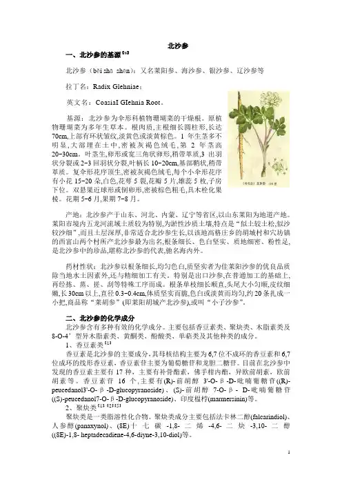 北沙参的基本介绍