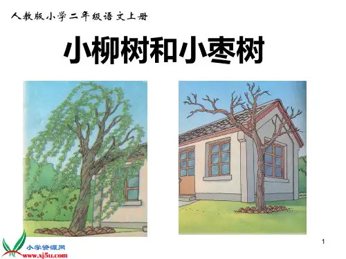 人教版二年级语文上册《小柳树和小枣树》PPT优秀课件