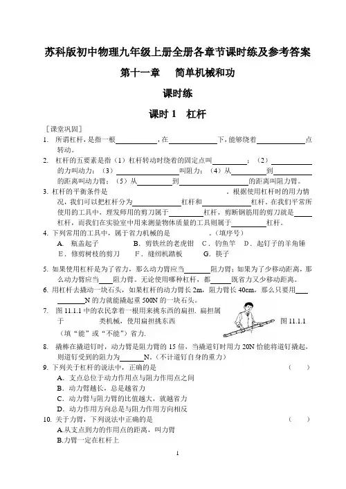 苏科版初中物理九年级上册全册各章节课时练及参考答案
