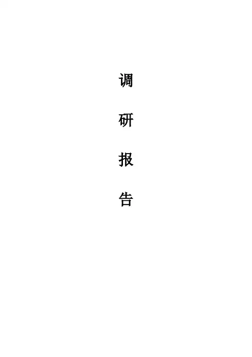 南京调研报告