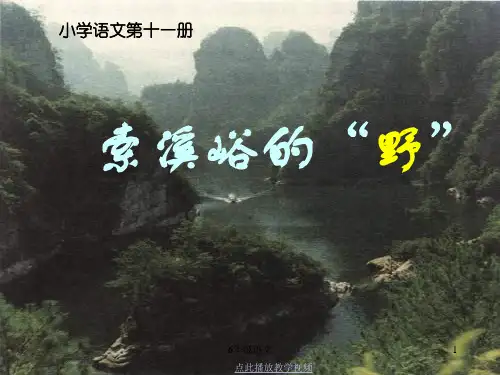 部编六年级语文上册索溪峪的野课件(PPT_9页)