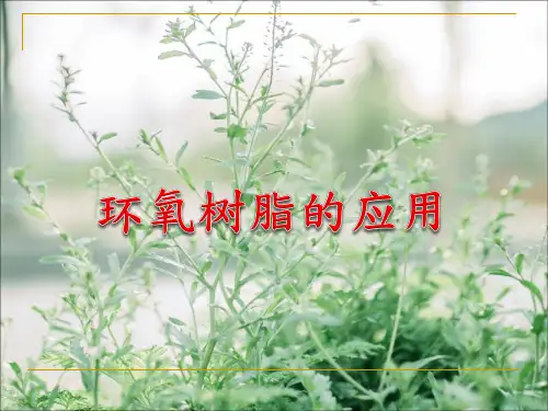 环氧树脂的应用