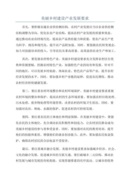 美丽乡村建设产业发展要求