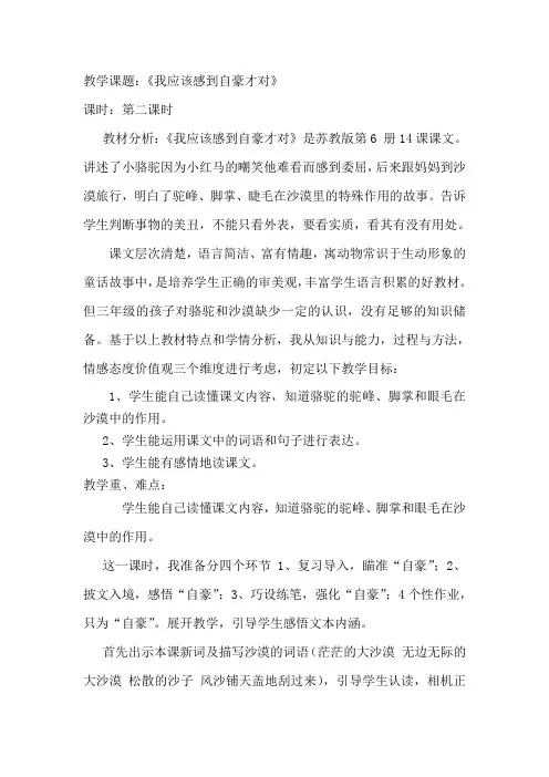 《我应该感到自豪才对》
