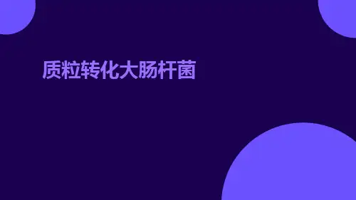 质粒转化大肠杆菌ppt