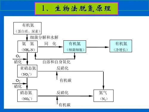 污废水深度处置脱氮的微生物学原理