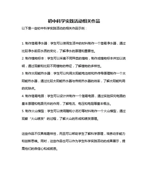 初中科学实践活动相关作品