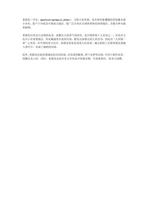 茉莉花的介绍