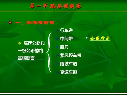 第四章第一节标准横断面与典型横断面