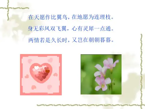 高中语文北师大版必修二1.3《致橡树》课件