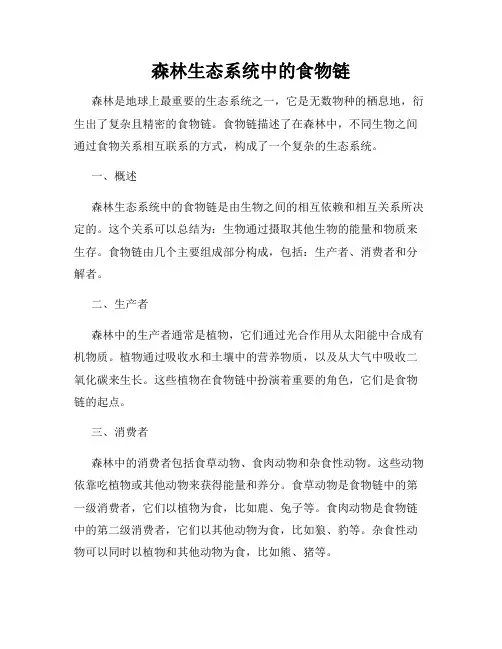 森林生态系统中的食物链