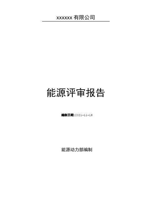 能源评审报告(Word可编辑版)