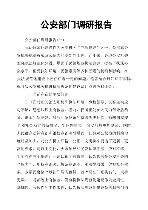 公安部门调研报告