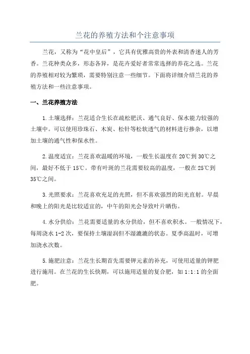 兰花的养殖方法和个注意事项