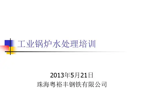 工业锅炉水处理培训