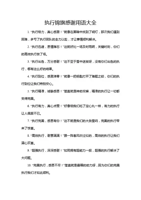 执行锦旗感谢用语大全